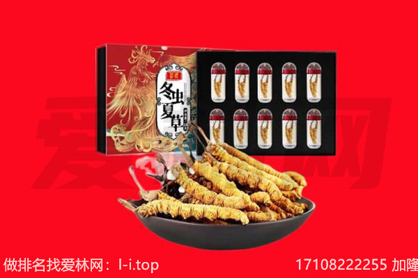 东山县回收虫草.jpg